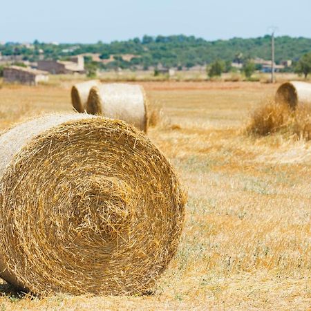078 Finca Sa Rota Vt1953 By Mallorca Charme Ариань Экстерьер фото